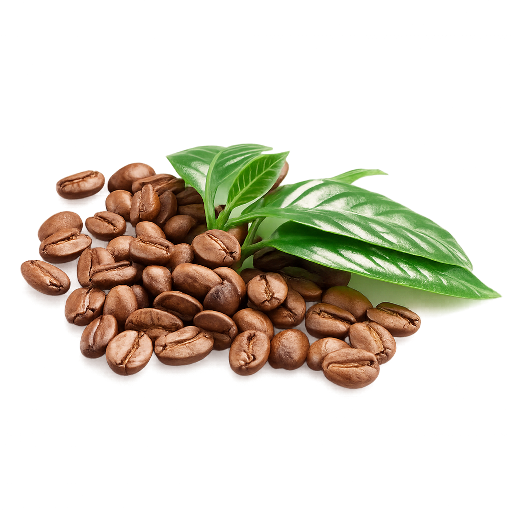 Tanzanian-based integrated Food and Agribusiness company
