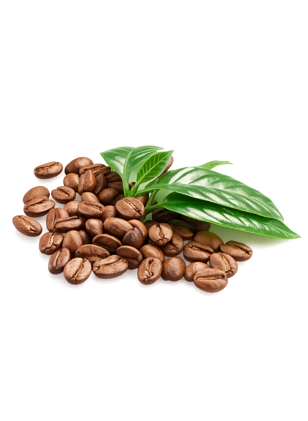 Tanzanian-based integrated Food and Agribusiness company